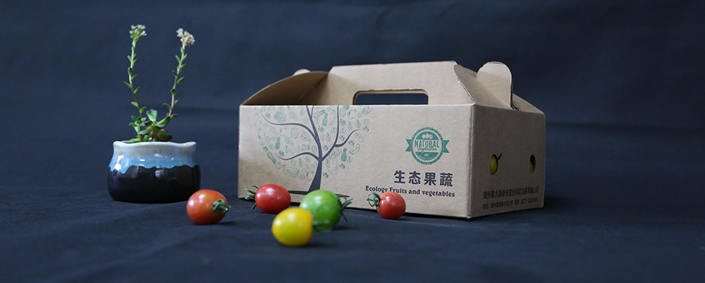 z6.com(中国区)官方网站