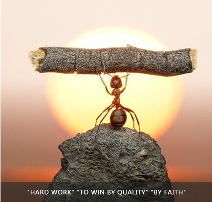 z6.com(中国区)官方网站