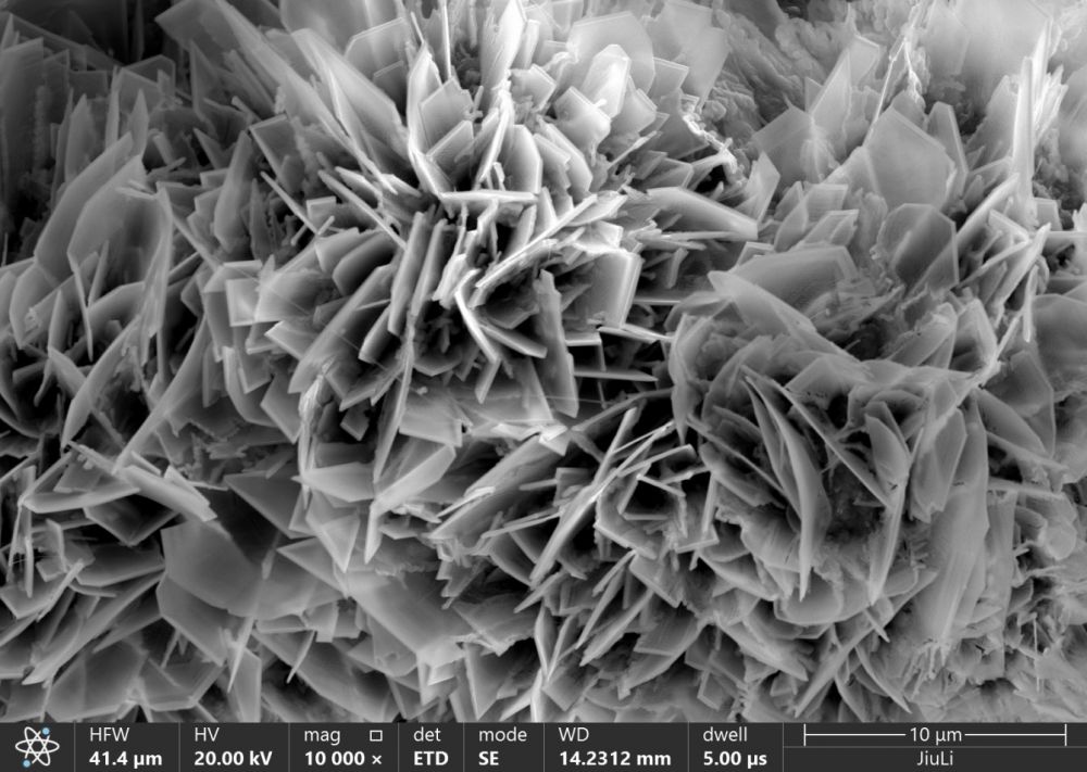 z6.com(中国区)官方网站