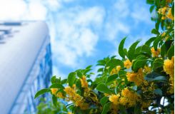 1716795604_2917_245x160_2